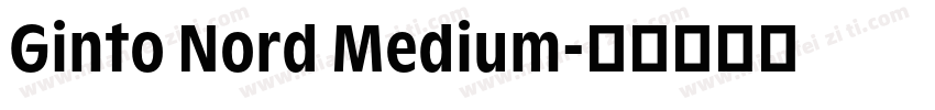 Ginto Nord Medium字体转换